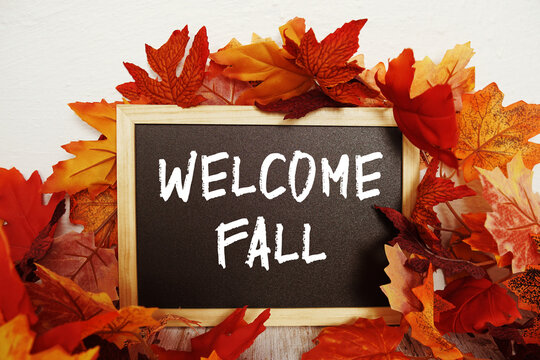 Welcome Fall text with maple leaf decoration on wooden background