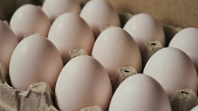 Fresh eggs neatly arranged in a carton, showcasing their smooth texture and natural color