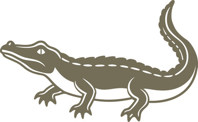 lizard on white background
