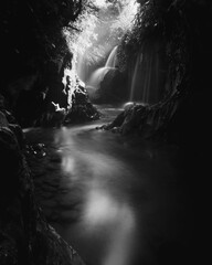 the beauty of Indonesia with mangrove forests and beaches at sunset