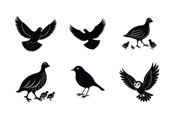 Obraz premium Clean collection of flying birds for modern layouts Silhouette Vector illustration