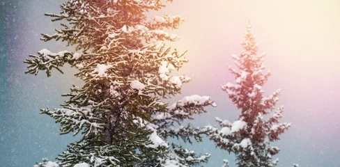 Gardinen Snow covered trees during winter © vectorfusionart