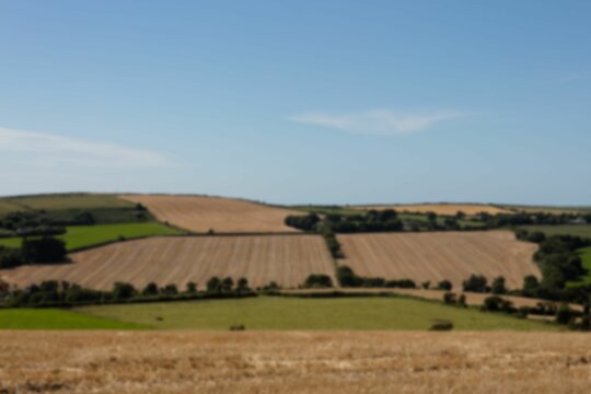 Fototapeta Tranquil scene of agricultural field