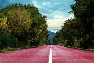 Gardinen Running track in the nature © vectorfusionart