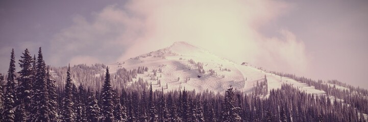 Fototapeta premium Snowcapped and forest during winter