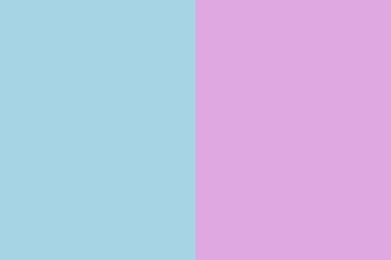 Fototapeta premium Displaying dual vertical color panels in flat design, showcasing light blue and light purple
