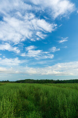 Obraz premium beautiful morning view from Indonesia of mountains and tropical forest