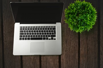 Flat design open silver laptop is resting on weathered wooden tabletop, with green potted plant