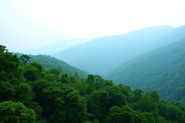 Obraz premium view of the smoky mountains from the top of a mountain
