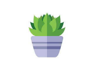 Flat Style Detailed Succulent Plant Isolated on White Background Illustration