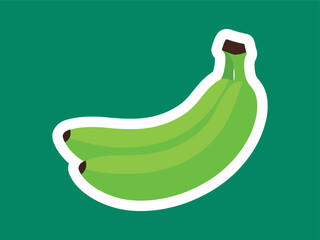 Flat Style Green Unripe Banana with White Outline Food Illustration
