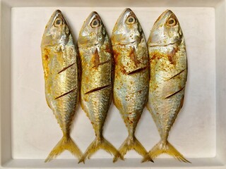 Raw spiced mackerel fish or ikan kembung isolated on white background, ready to cook.