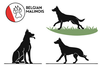 Belgian malinois silhouette, Belgian malinois dog silhouettes, Dog silhouettes, Dog icon, Belgian malinois clipart, Dog vector illustration.
