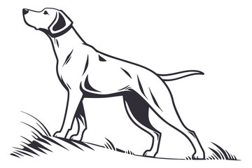 Dog illustration labrador drawing vector

