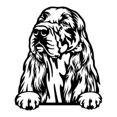 Cocker Spaniel Dog - Peeking Dog Breed - Pet Dog Vector Portrait, Dog Silhouette Stencil