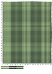 Green Plaid Fabric Swatch with Measurements for Design and Textile Applications close up green plaid fabric