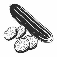 vector illustration of a cucumber