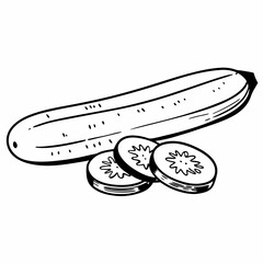 vector illustration of an apple