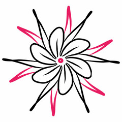 pink flower isolated on white