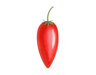 watercolor red plum cherry tomato with green stem in elongated shape on isolated background
