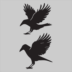 Obraz premium Majestic Raptor 