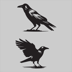 Naklejka premium Majestic Raptor 