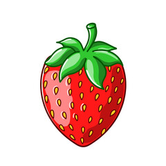 Strawberry Illustration 
