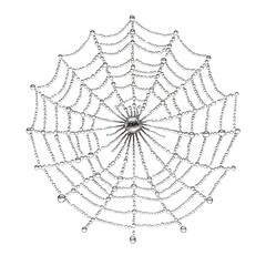 Obraz premium Intricate silver spider web adorned with shimmering dew drops and a central crystal isolated on transparent background