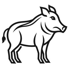Warthog on white background