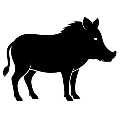 Warthog on white background