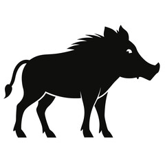 Warthog on white background