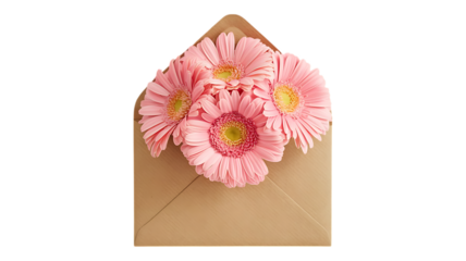 Purple Gerbera Daisies in a white Kraft Envelope  Floral Arrangement with transparent background