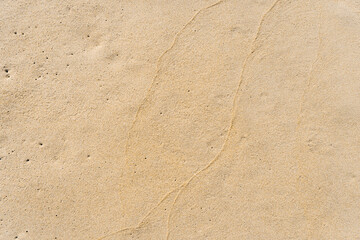 Yellow Sand Textured Background
