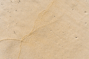 Yellow Sand Textured Background