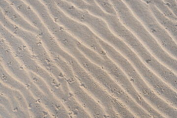 Wavy Sand Textured Background