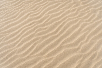 Yellow Wavy Sand Textured Background