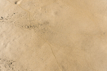 Yellow Sand Textured Background