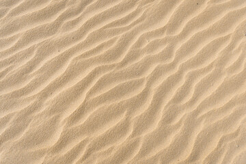 Wavy Sand Textured Background