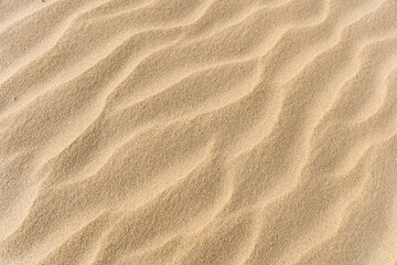 Yellow Wavy Sand Textured Background