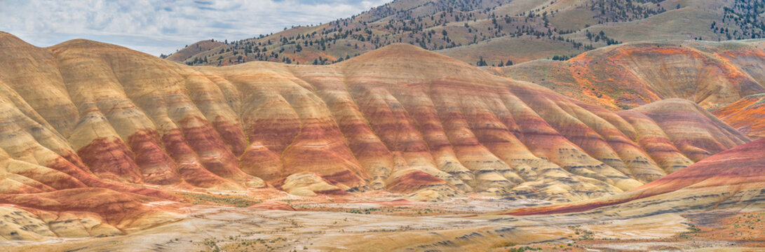 Colorful red painted hills caused by erosion, climate changes and volcanic activity in Eastern Oregon.