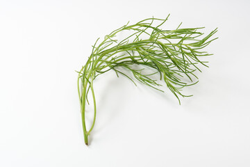 Obraz premium おかひじき イメージ