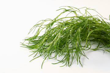 おかひじき　イメージ