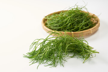 おかひじき　イメージ