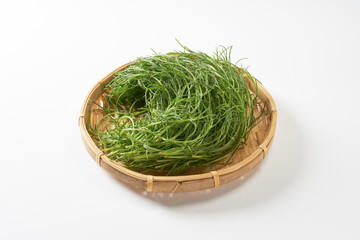 おかひじき　イメージ