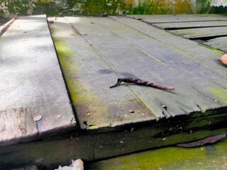 The texture of the wood surface and the dry leaves on top