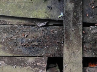 Rough Wood Surface with Natural Weathering Marks
