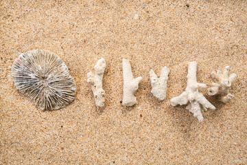 Dead coral on the sand. Shot with high angle view