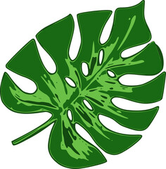 digital illustration of a single Monstera leaf on a white background