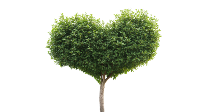 Tree with heart-shaped leaves, Transparent background, PNG file - Powered by Adobe