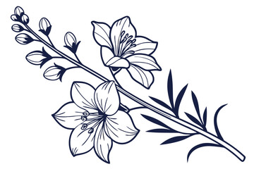 Delphinium Isolated Floral Design for Decor